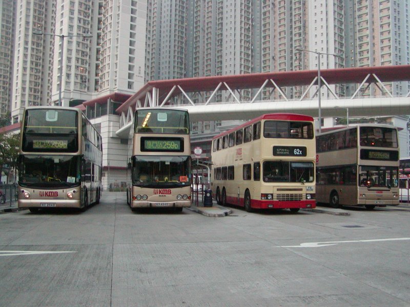 P1010056.jpg