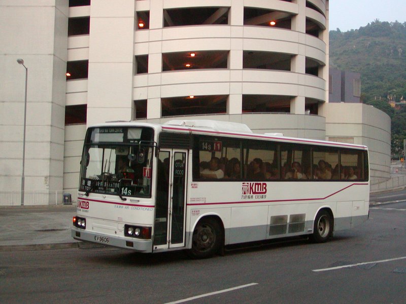 P1010036.jpg