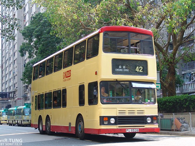 DSC09902_2.JPG