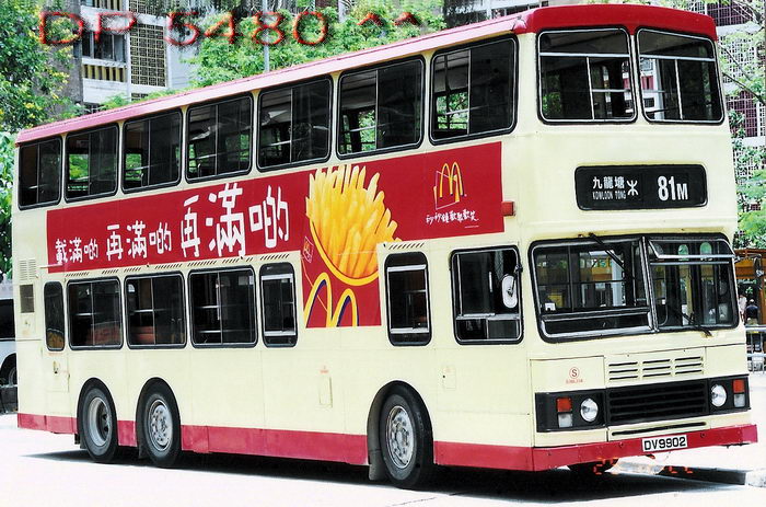 DV9902@84M.jpg