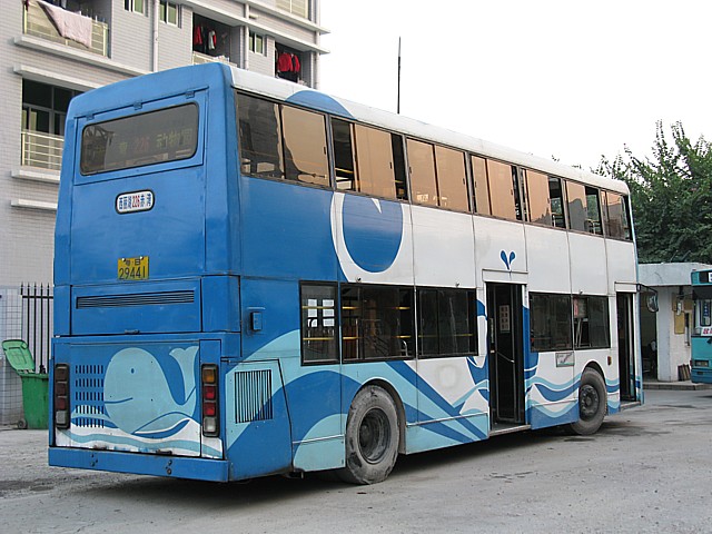 IMG_8419.JPG