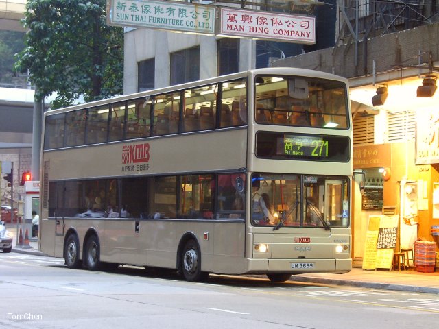 amn12_271.jpg