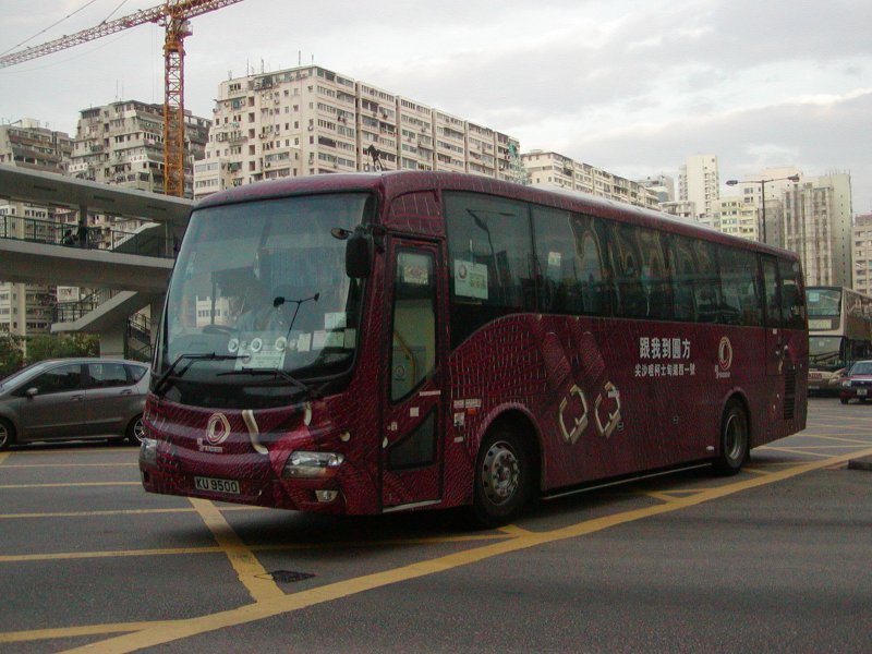 P1010034.jpg