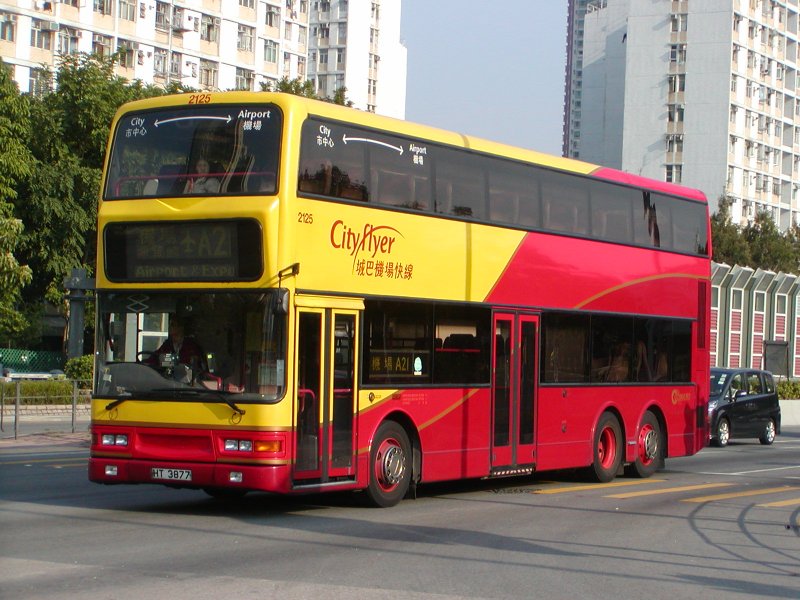 P1010012.jpg