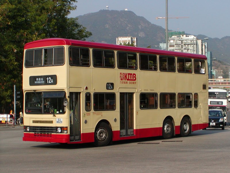 P1010009.jpg