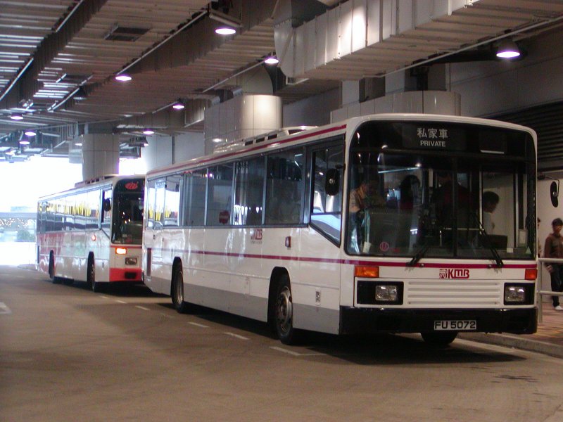 P1010008.jpg