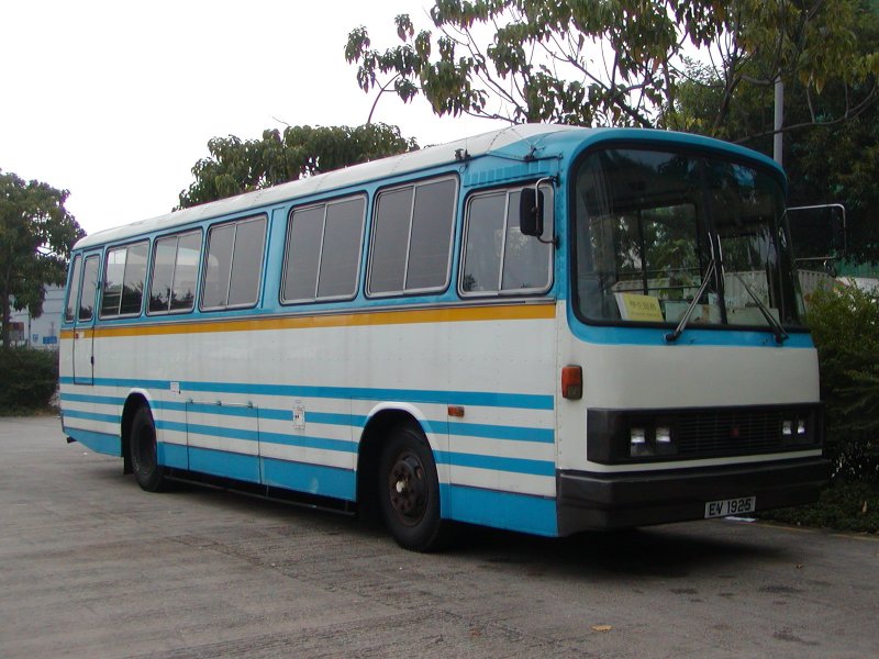 P1010076.jpg
