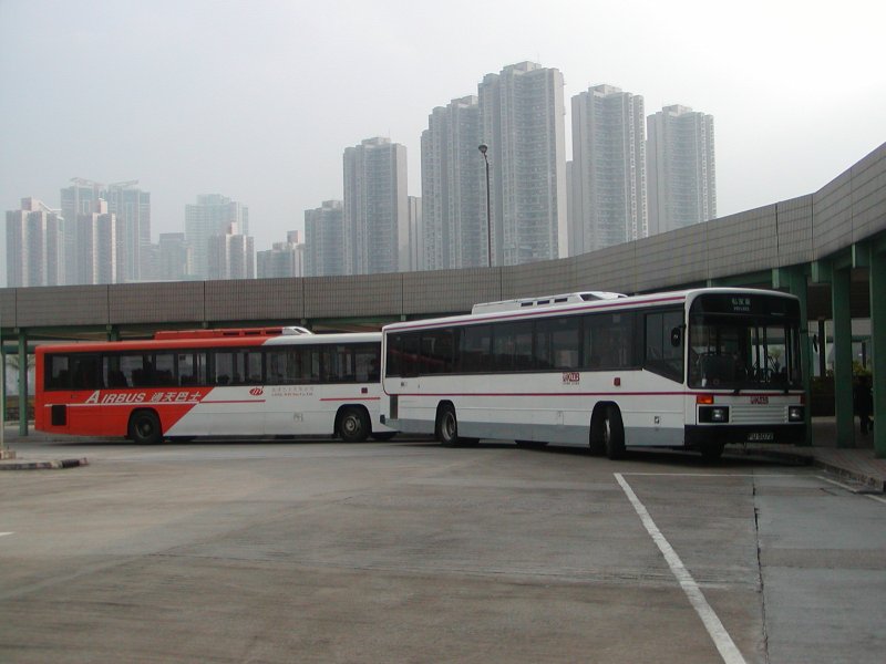 P1010002.jpg