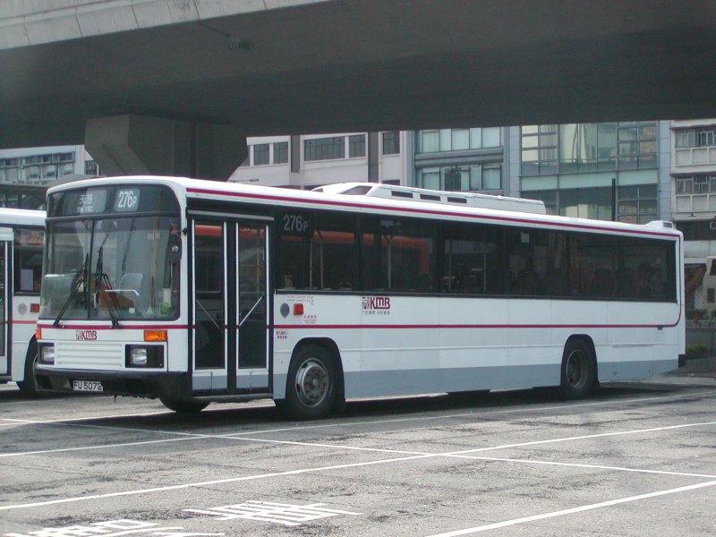 P1010045.jpg