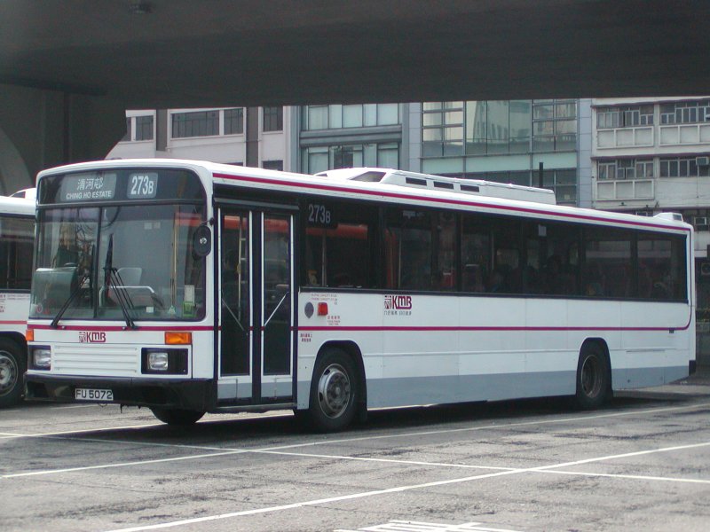 P1010047.jpg
