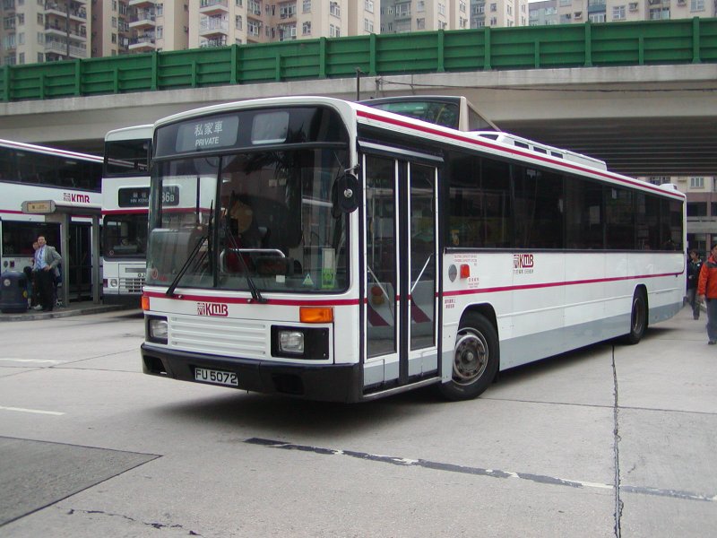 P1010085.jpg
