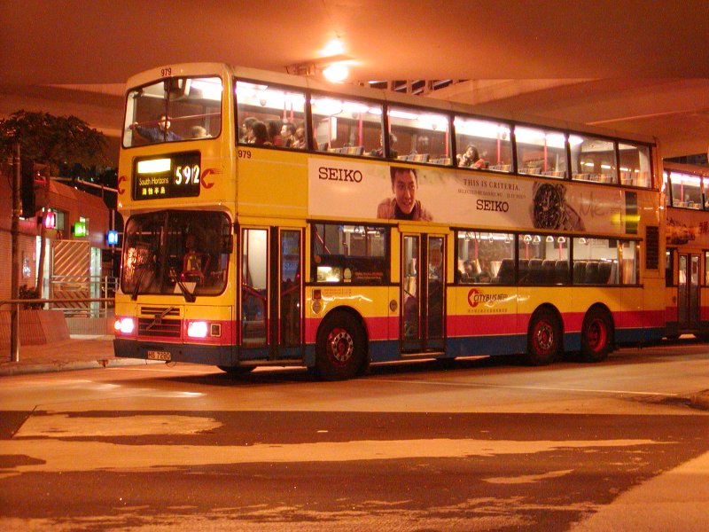 P1010050.jpg