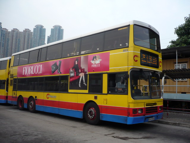 P1000924.jpg