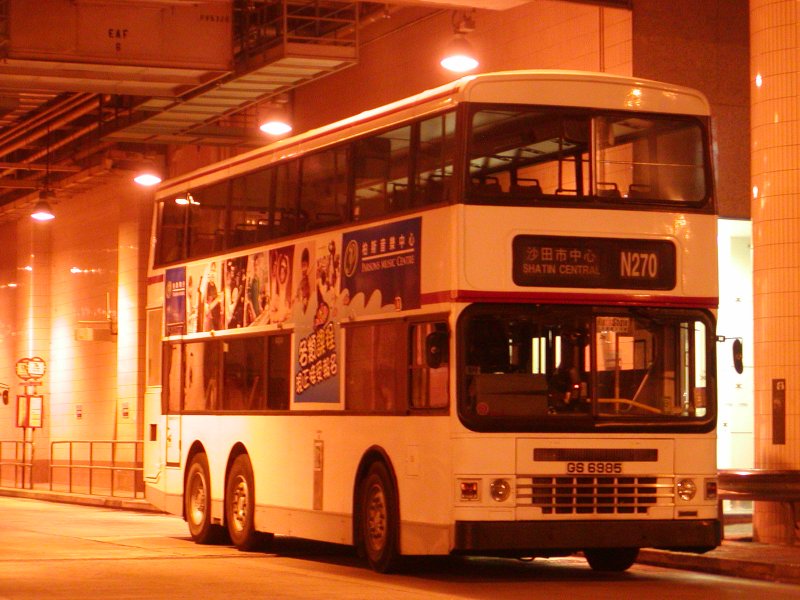 P1010084.jpg