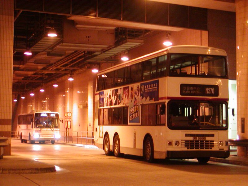 P1010085.jpg