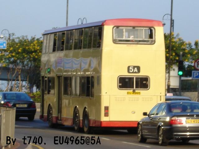 EU4965.1.JPG