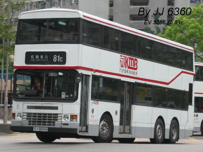 3245.jpg