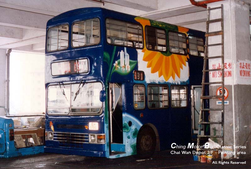 DL33_cwd.jpg