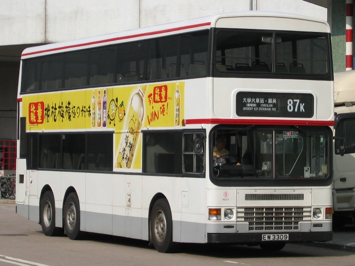 4273.JPG