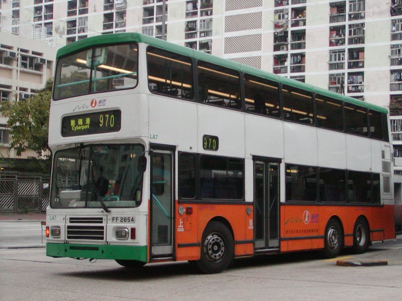 P1010006.jpg