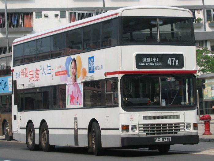 11454.JPG