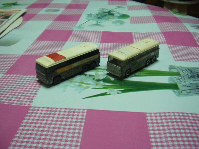 P1010026.JPG