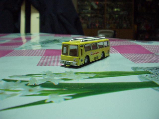 P1010020.JPG