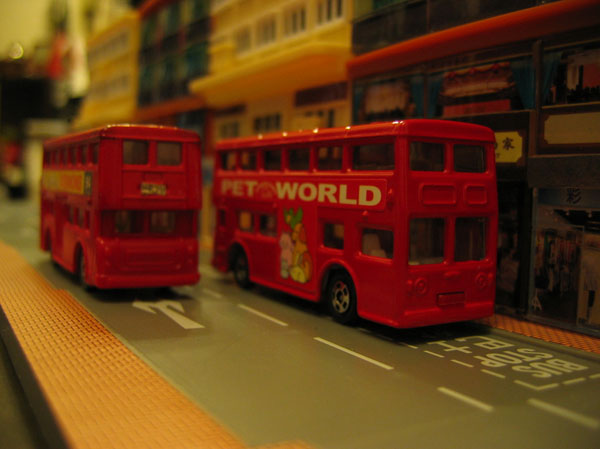 IMG_6556.jpg