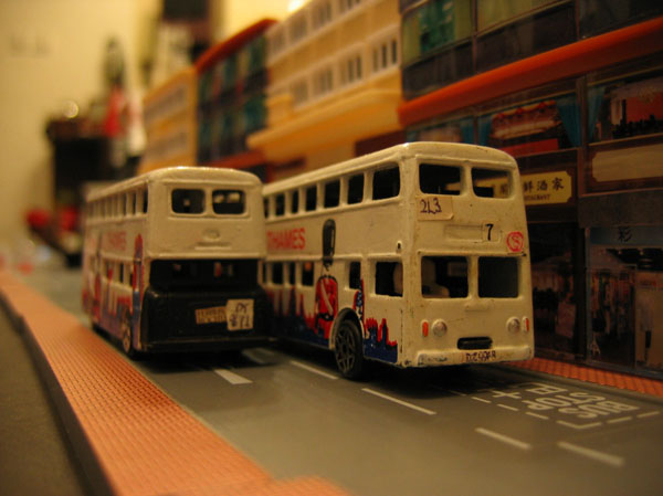 IMG_6557.jpg