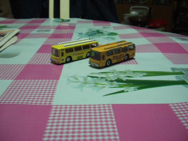 P1010021.JPG