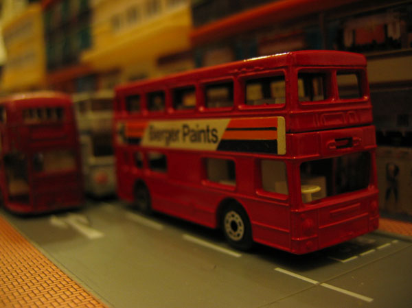 IMG_6567.jpg