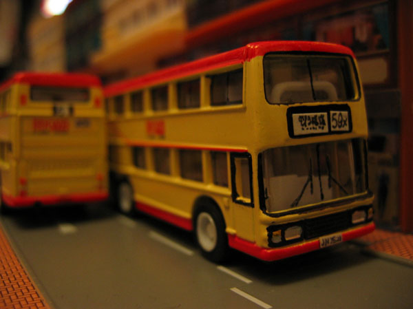 IMG_6593.jpg