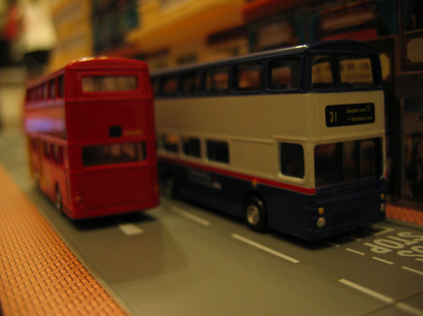 IMG_6539.jpg
