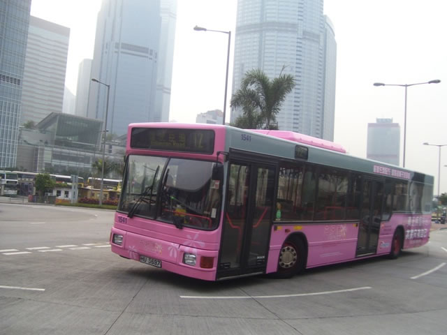01.jpg