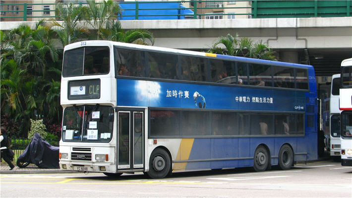 313.jpg