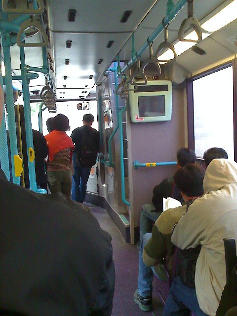 11-03-08_0750.jpg