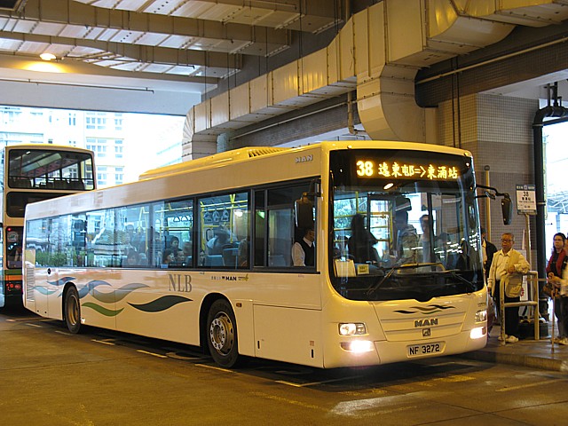 IMG_9786.JPG