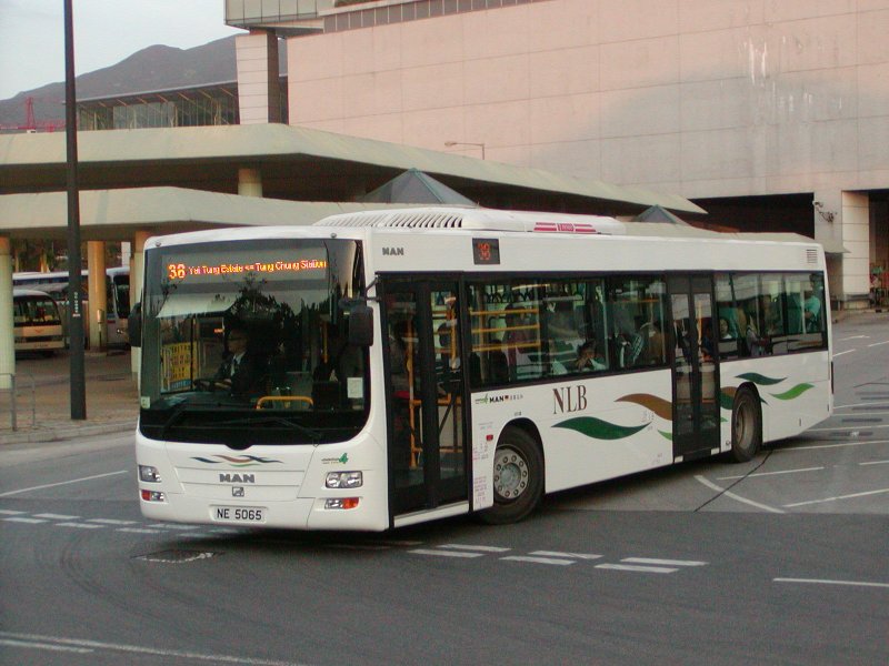 P1010163.jpg