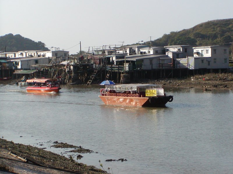 P1010130.jpg