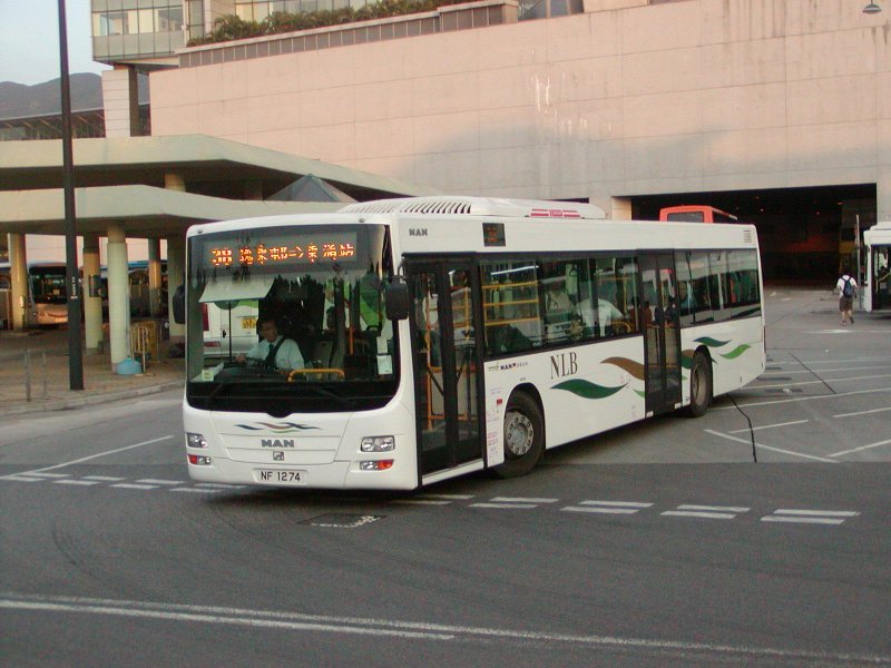 P1010161.jpg