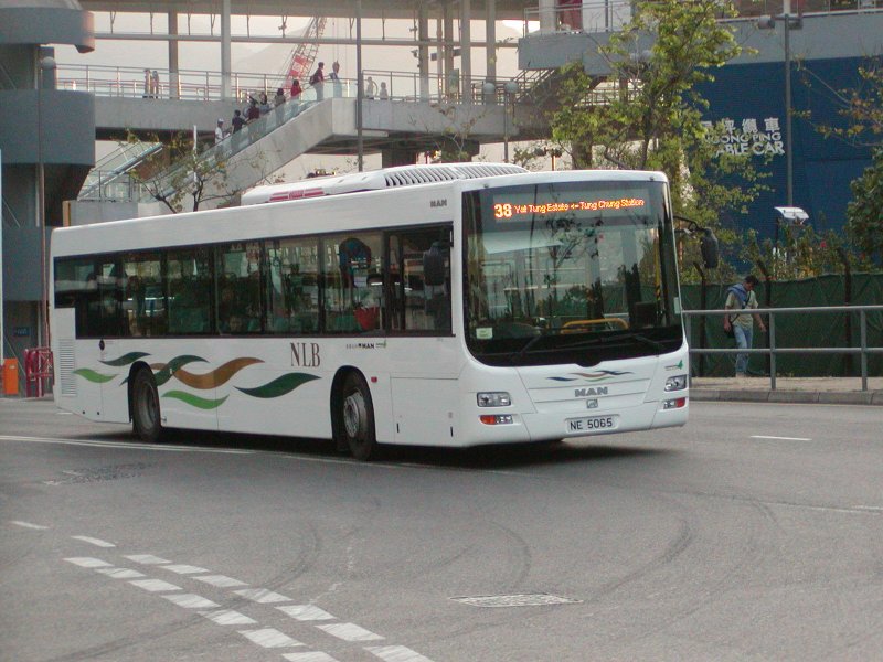 P1010160.jpg