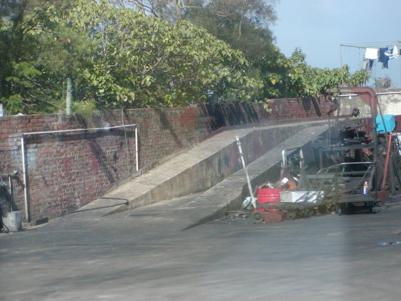 P1010092.jpg