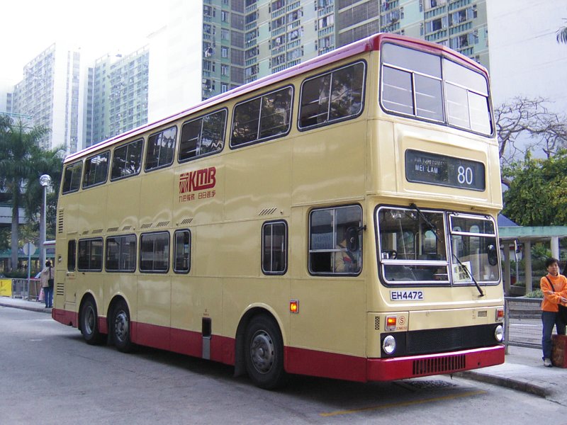 P1070508c.jpg
