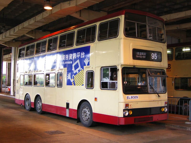 P1010103c.jpg