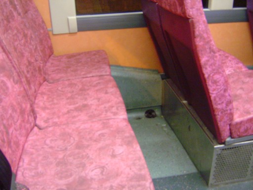 DSC07193.JPG