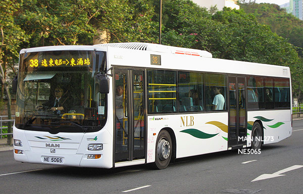 NE5065.jpg