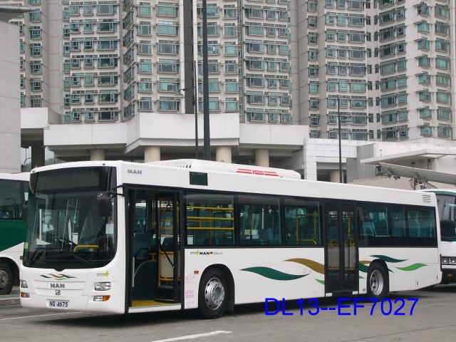 ng4675.jpg