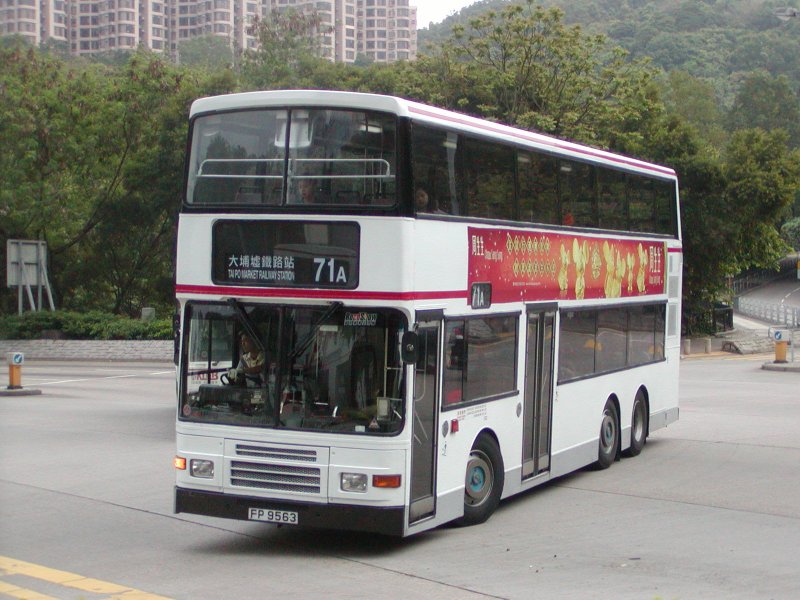 P1010175.jpg