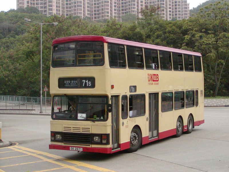 P1010177.jpg
