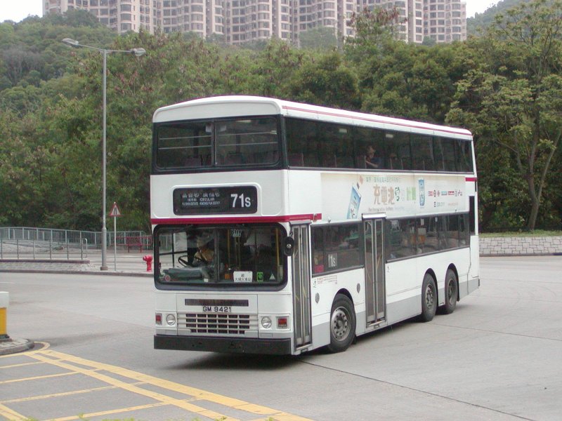 P1010173.jpg